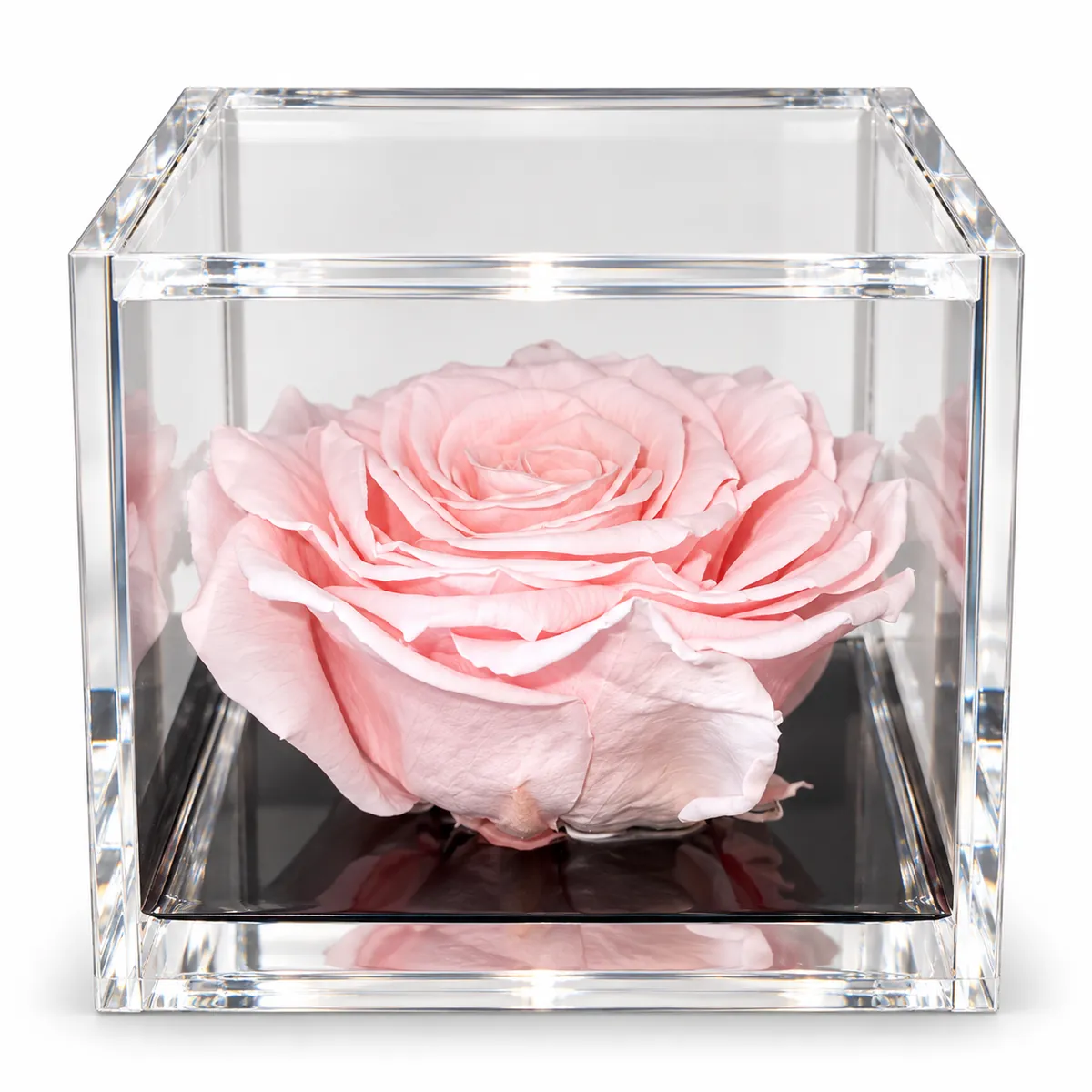 Rosa stabilizzata rosa pastello profumata Flowercube by ArsNova (misura 10x10 cm)