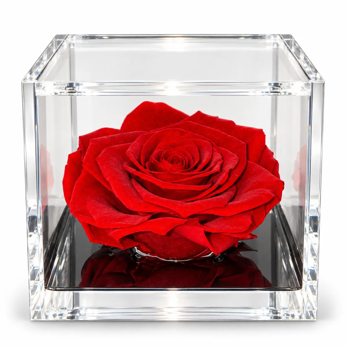 Rosa stabilizzata rossa profumata Flowercube by ArsNova (misura 10x10 cm)