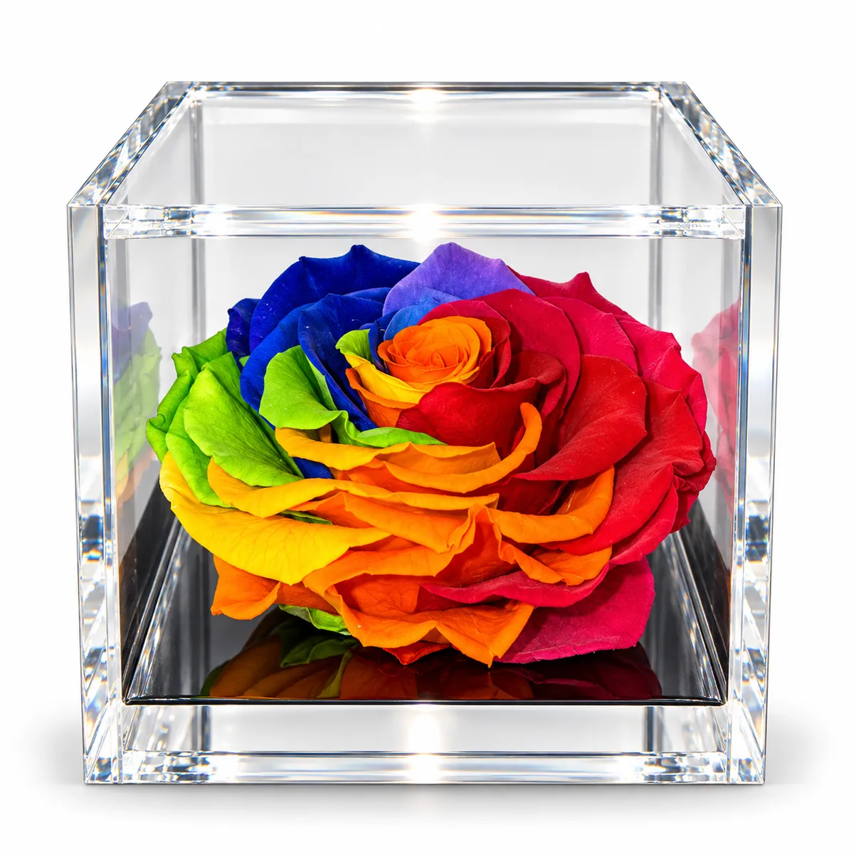 Rosa stabilizzata Rainbow (Arcobaleno) profumata Flowercube by ArsNova (misura 10x10 cm