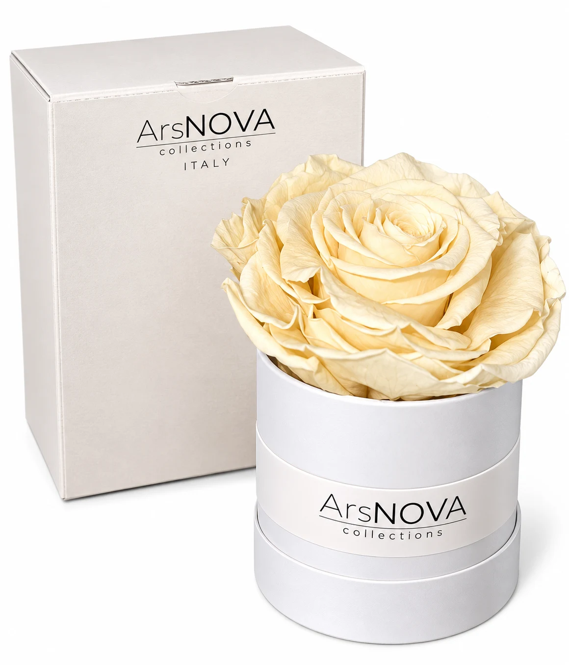 Scheda Prodotto: ArsNOVA Flower Box White – Rosa Stabilizzata Singola Avorio