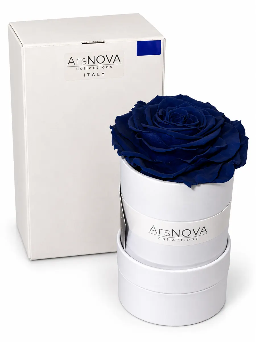 ArsNOVA Collections Home & Flower Fragrance – Profumatore Ambiente con Rosa Stabilizzata Singola (Blu Notte / Blu Elettrico)