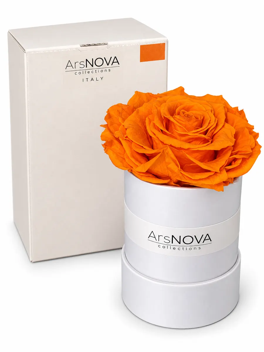 ArsNOVA Collections Home & Flower Fragrance – Profumatore Ambiente con Rosa Stabilizzata Singola (Arancione Mandarino)