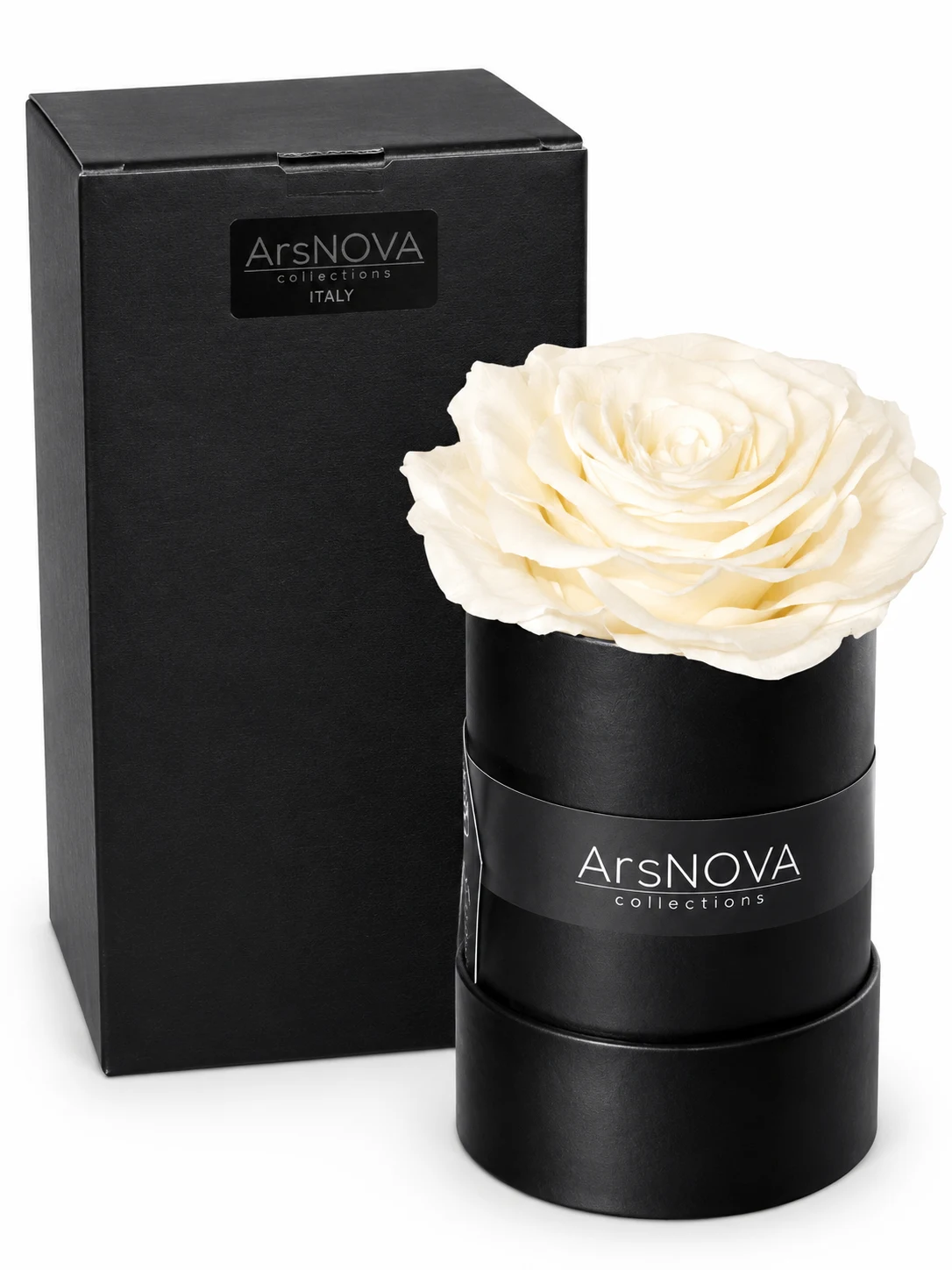 ArsNOVA Collections Home & Flower Fragrance – Profumatore Ambiente con Rosa Stabilizzata Singola Bianca Avorio (Box Nero