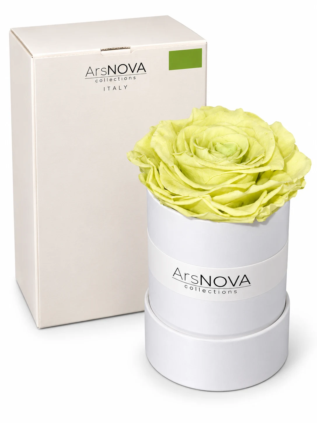 ArsNOVA Collections Home & Flower Fragrance – Profumatore Ambiente con Rosa Stabilizzata Singola (Verde Mela / Verde Acido)