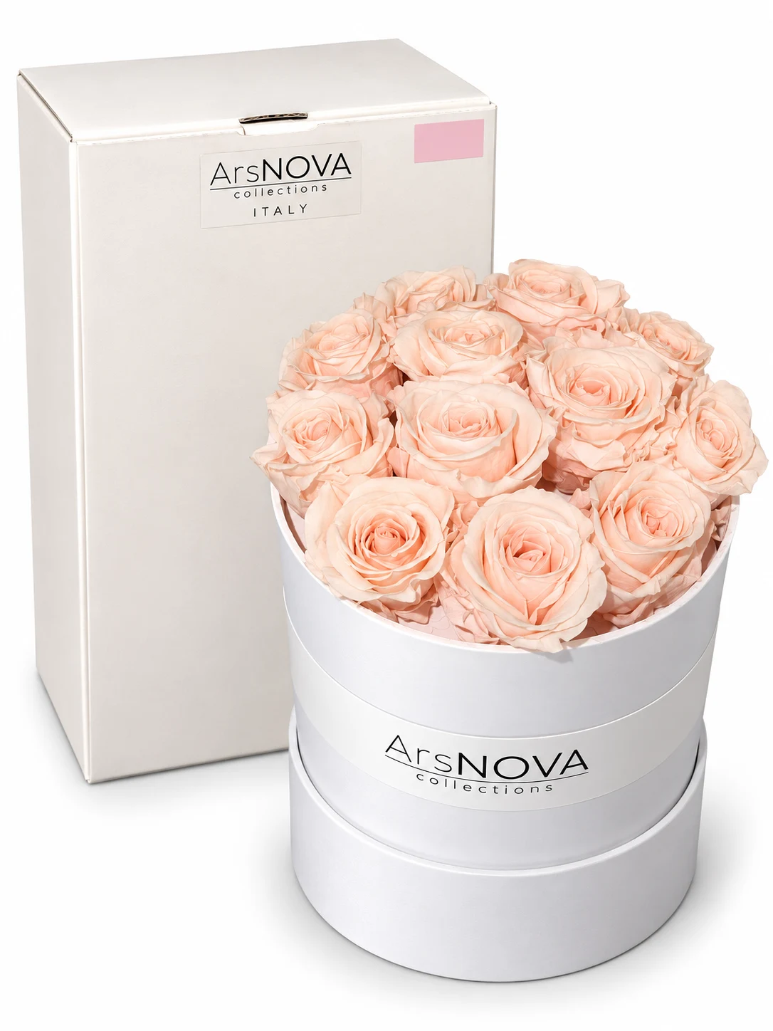Box Rose Stabilizzate Rosa Pastello Ars Nova | Fiori Eterni Eleganti