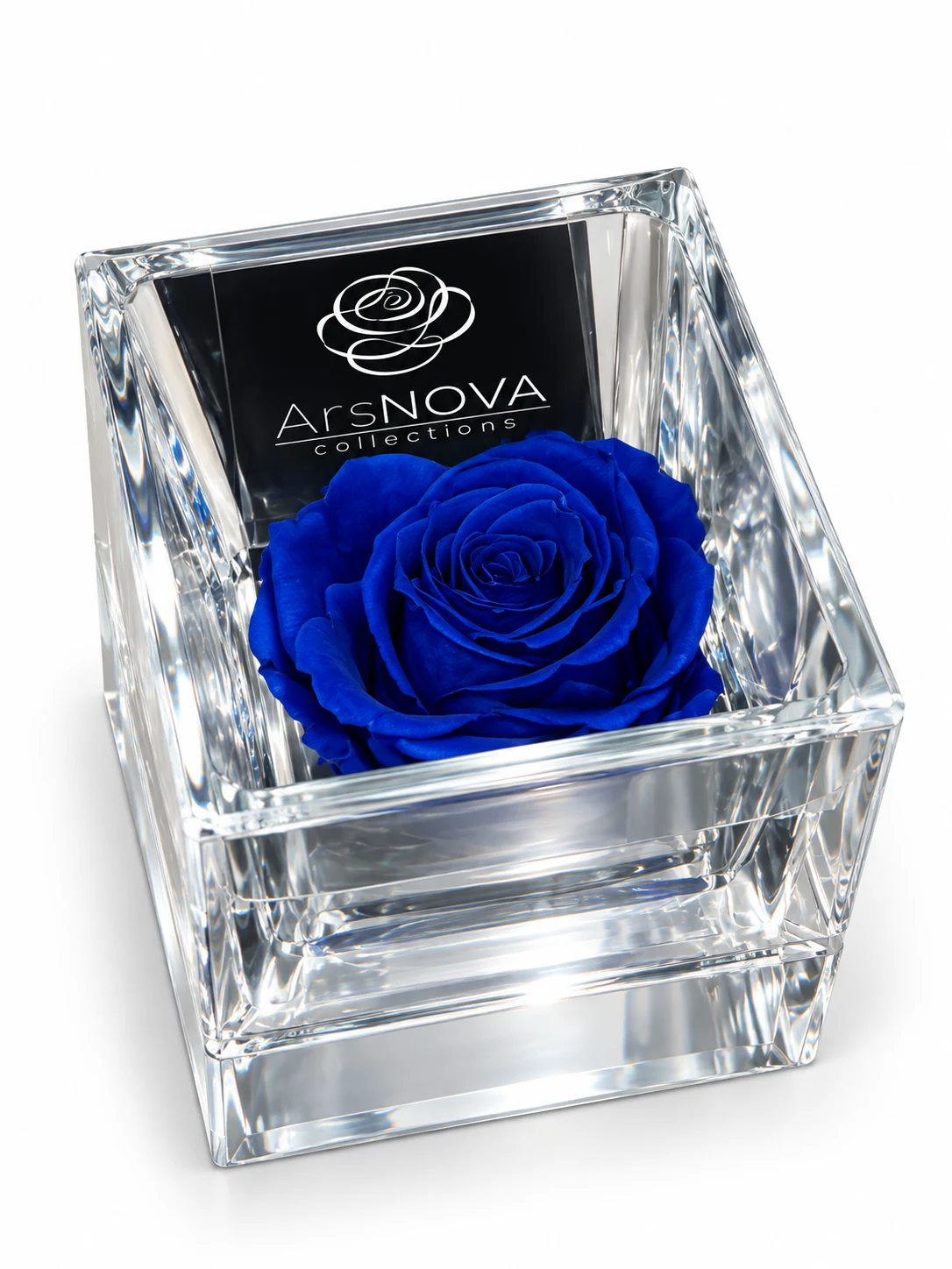 Flowercube Rosa Stabilizzata Blu Ars Nova | Cubo in Plexiglass